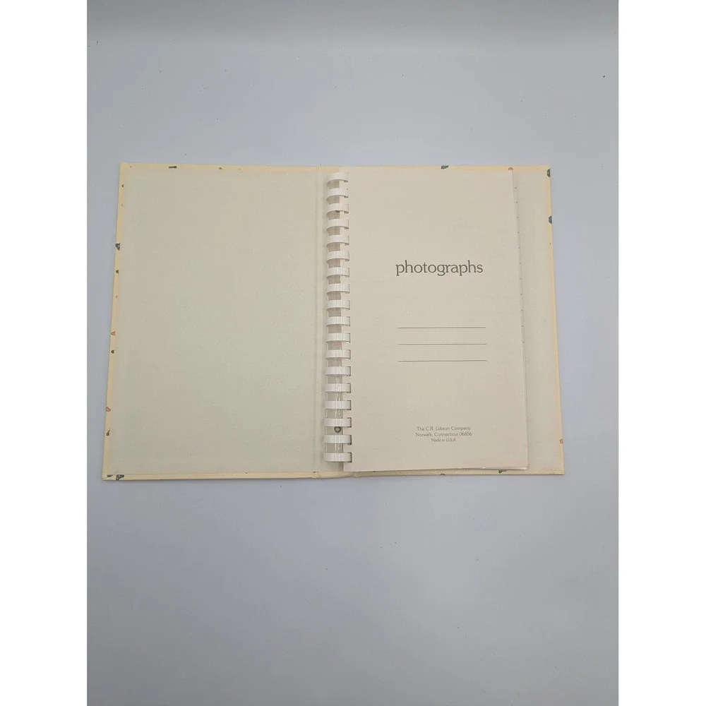 Vintage Gibson Photo Album Lucy Rigg Teddy Bear Baby Ephemera Nursery Cottagecor